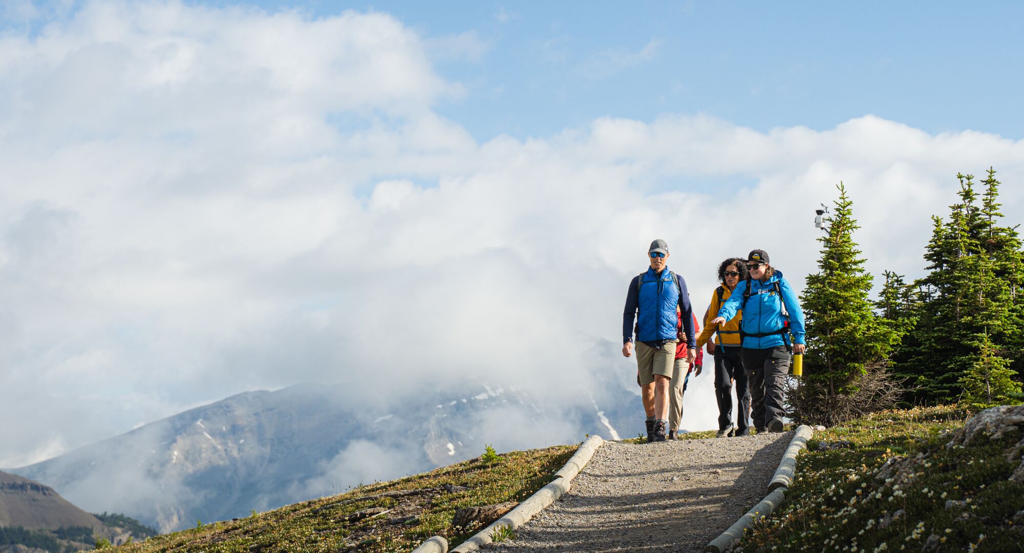 Group of people on a guided hiking tour at Sunshine Meadows in the summer